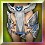 Holy Knight Assassin Pads (+7)